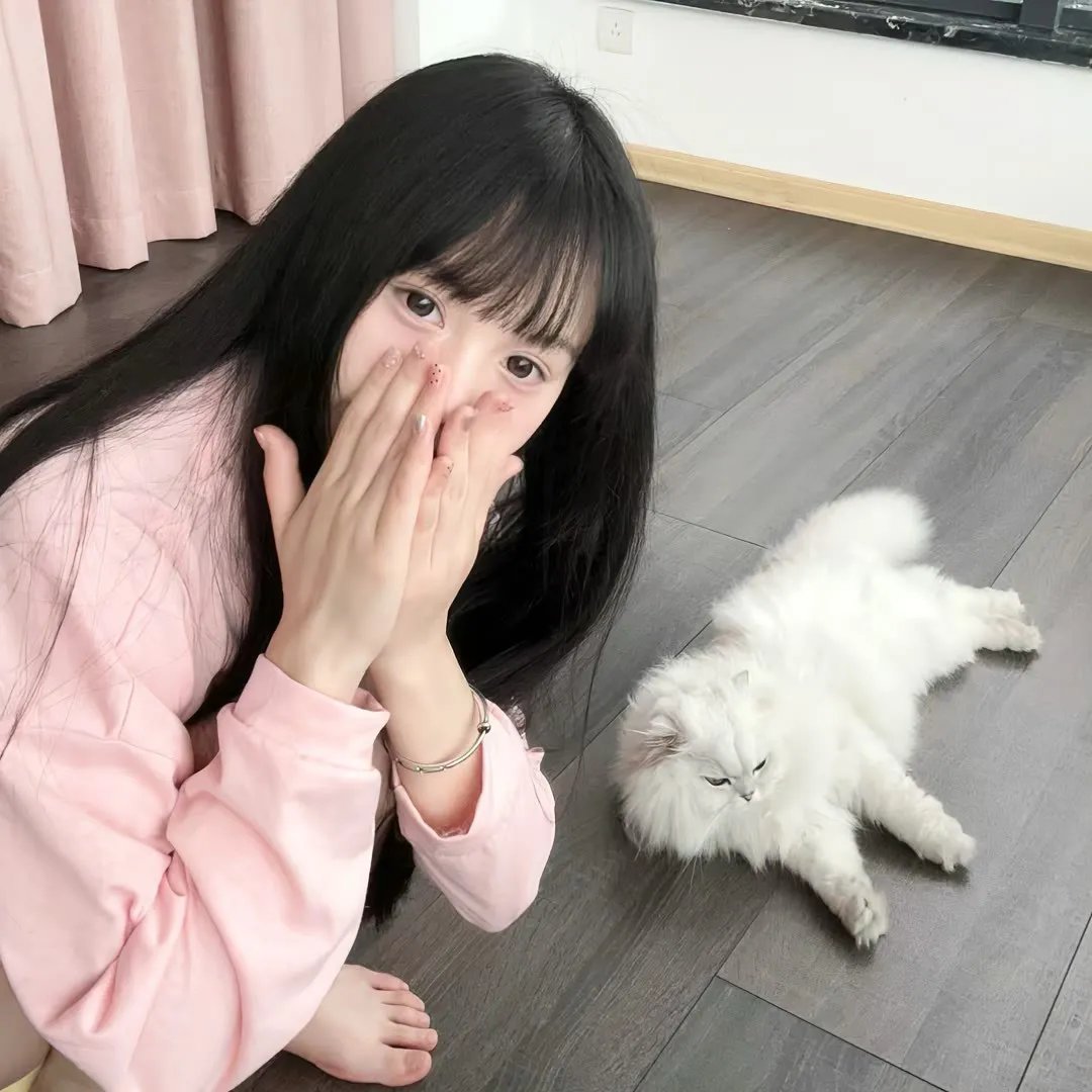 先锋2019